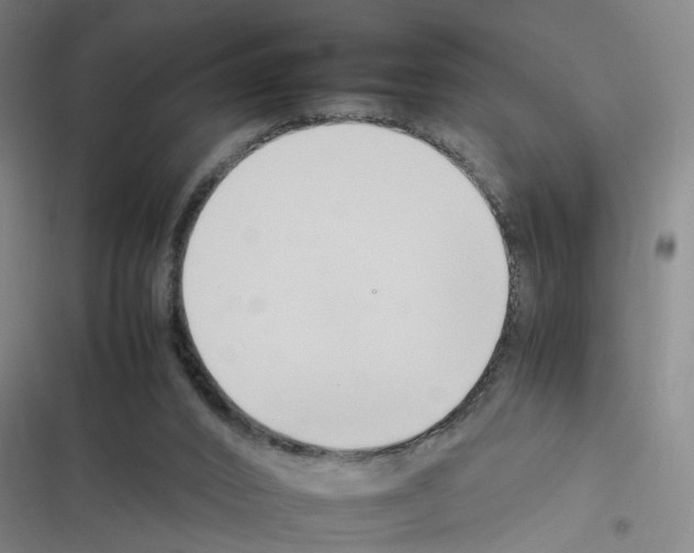 X0000116350016201001131116