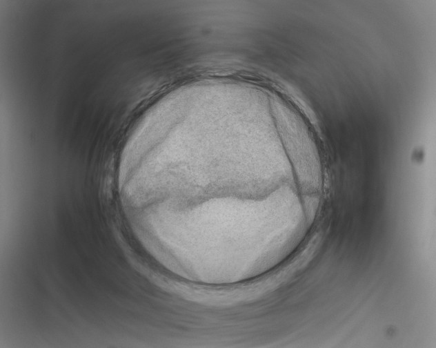 X0000116350018201001131116