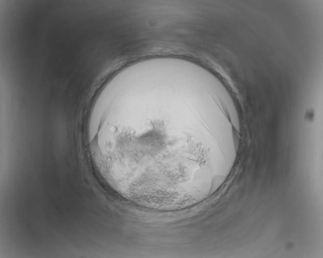 X0000116350019201001131116