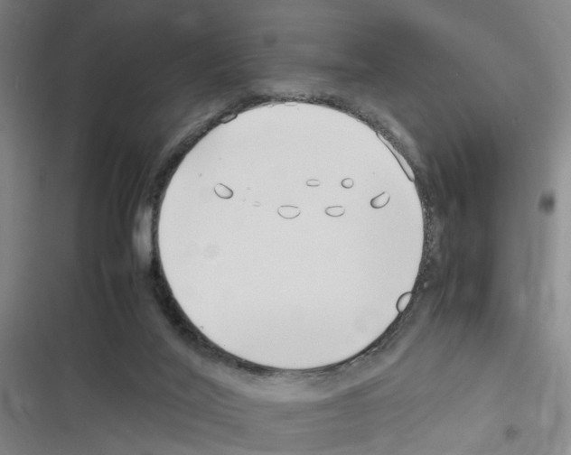 X0000116350020201001131116