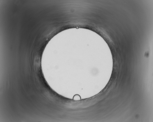 X0000116350021201001131116