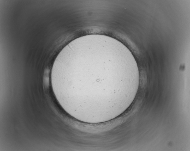 X0000116350022201001131115
