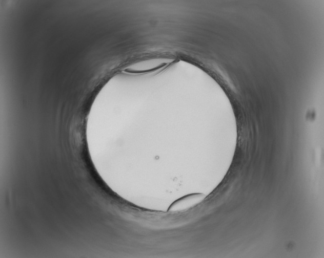 X0000116350023201001131115