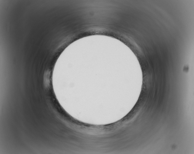 X0000116350024201001131115