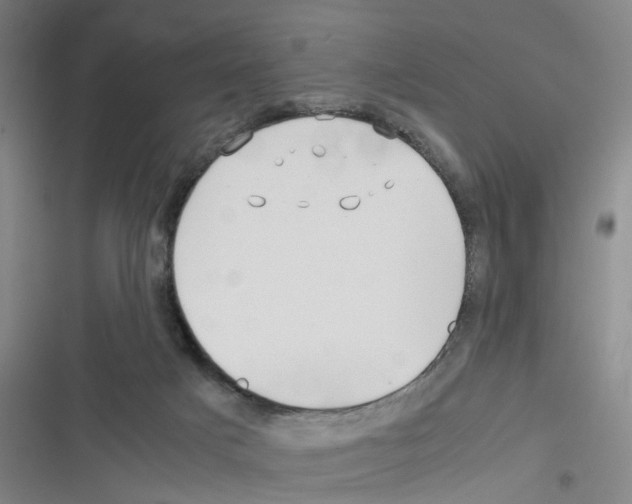 X0000116350025201001131115