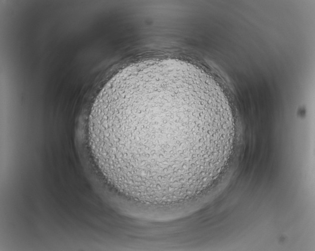 X0000116350026201001131115