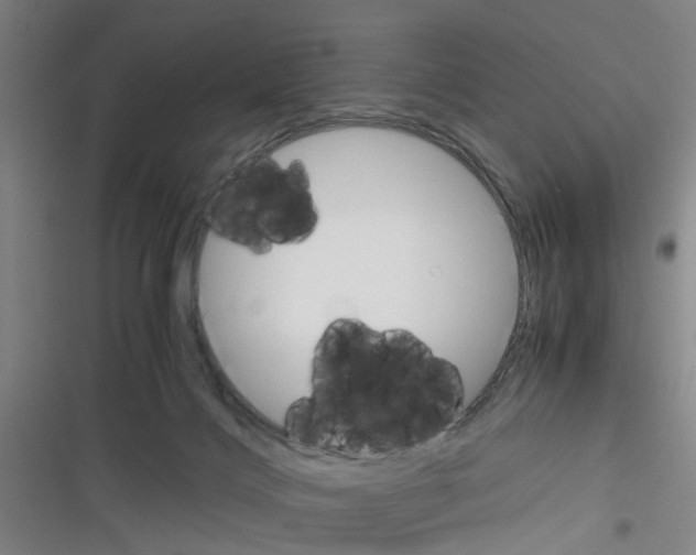 X0000116350028201001131115