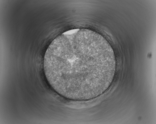 X0000116350029201001131115