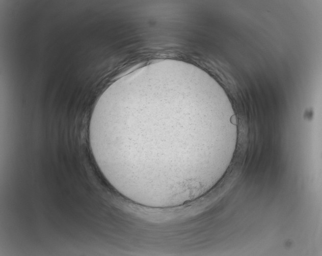 X0000116350030201001131115