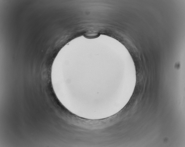 X0000116350031201001131115