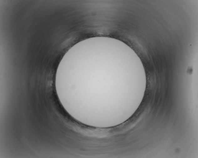 X0000116350032201001131115