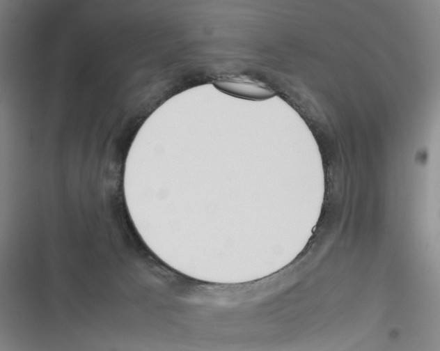 X0000116350033201001131115