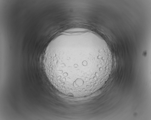 X0000116350034201001131115