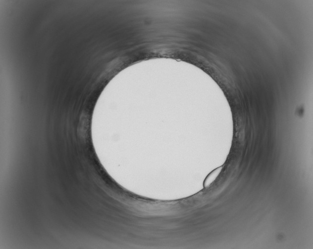 X0000116350036201001131115