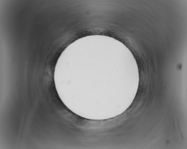 X0000116350037201001131115
