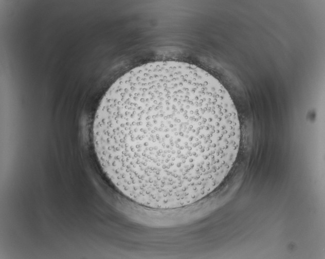 X0000116350038201001131115