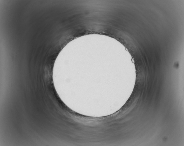 X0000116350040201001131115