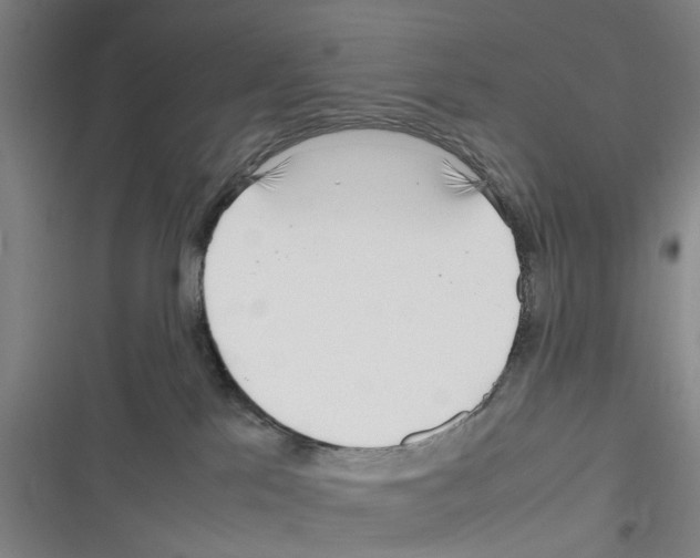 X0000116350041201001131115