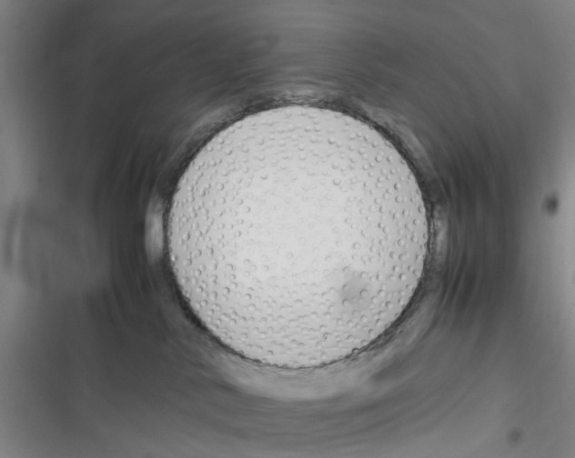 X0000116350042201001131115