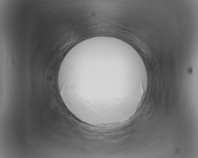 X0000116350043201001131115