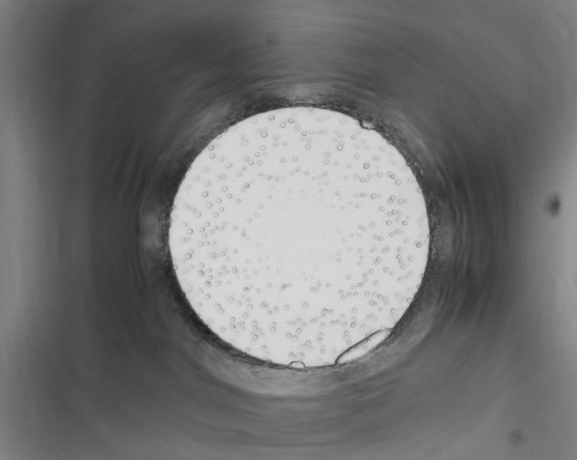 X0000116350044201001131115