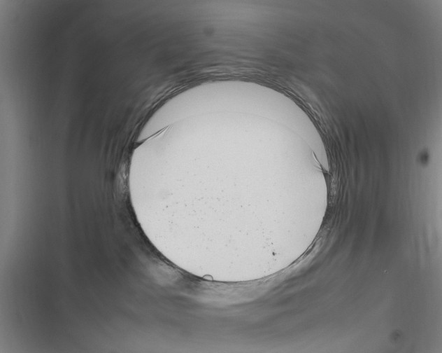X0000116350045201001131115