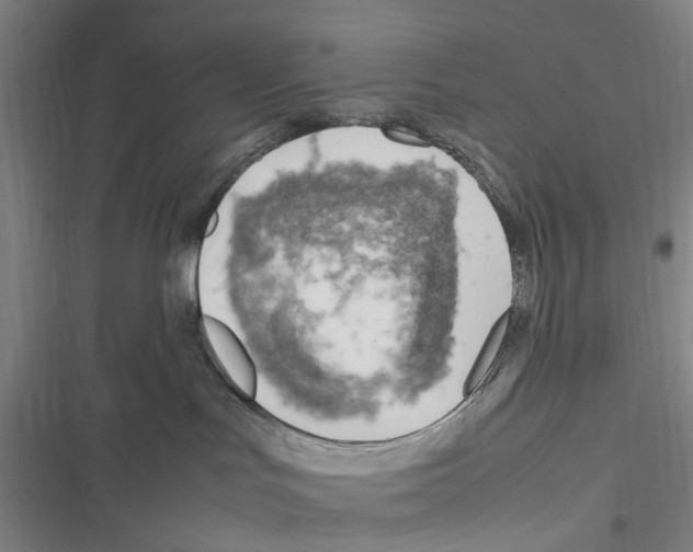 X0000116350047201001131115