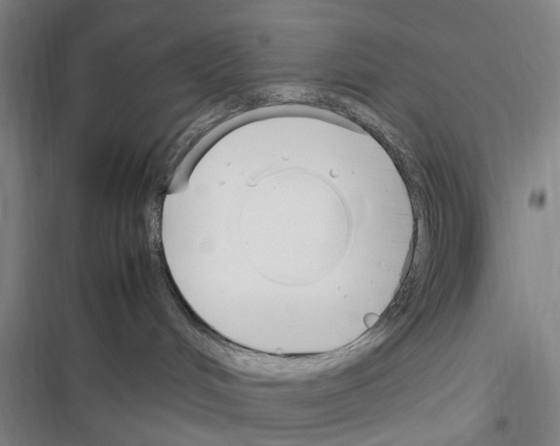 X0000116350048201001131115