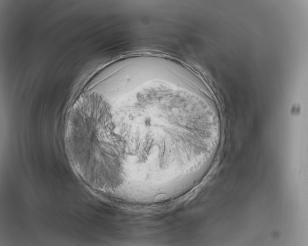 X0000116350049201001131114
