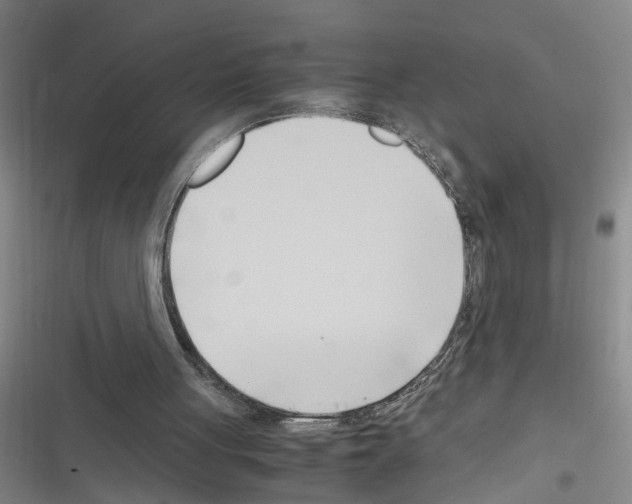 X0000116350051201001131115