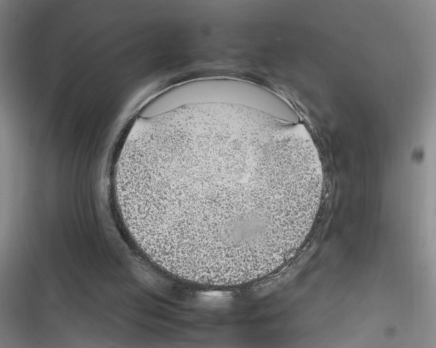 X0000116350053201001131115