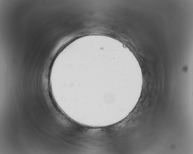 X0000116350054201001131115