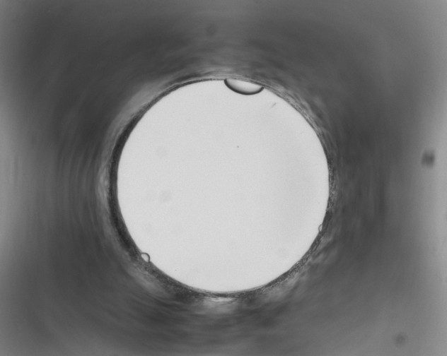 X0000116350055201001131115