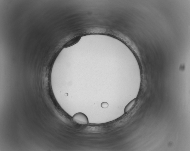 X0000116350057201001131115