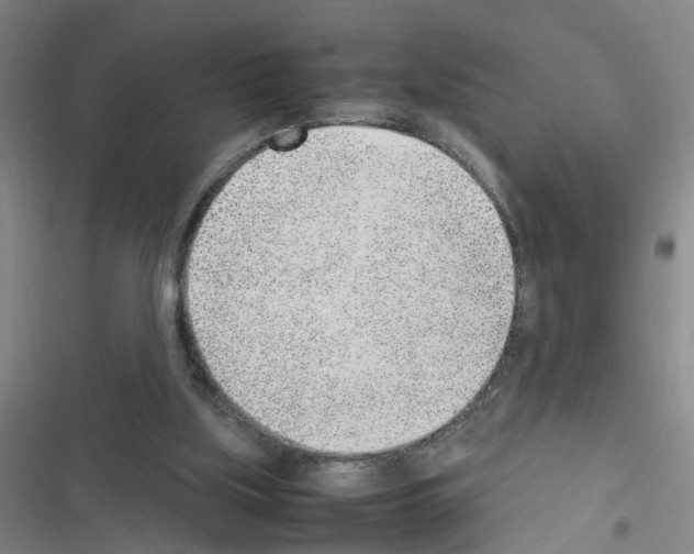 X0000116350059201001131115