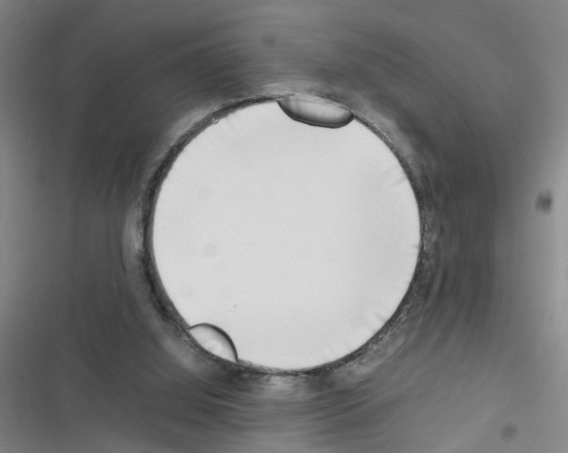 X0000116350060201001131115