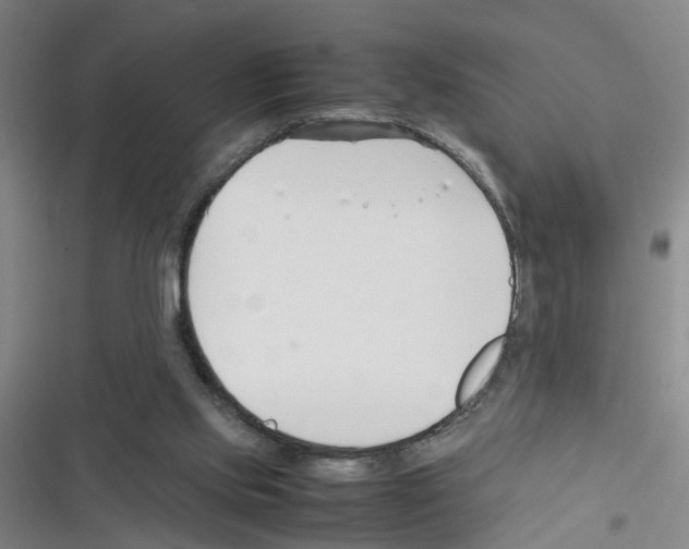 X0000116350061201001131115