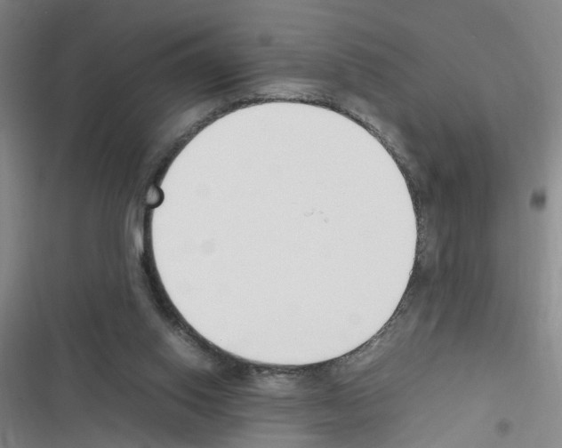 X0000116350062201001131115