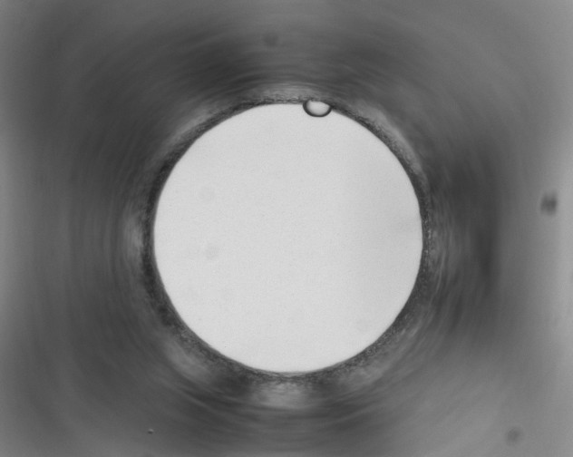 X0000116350063201001131115