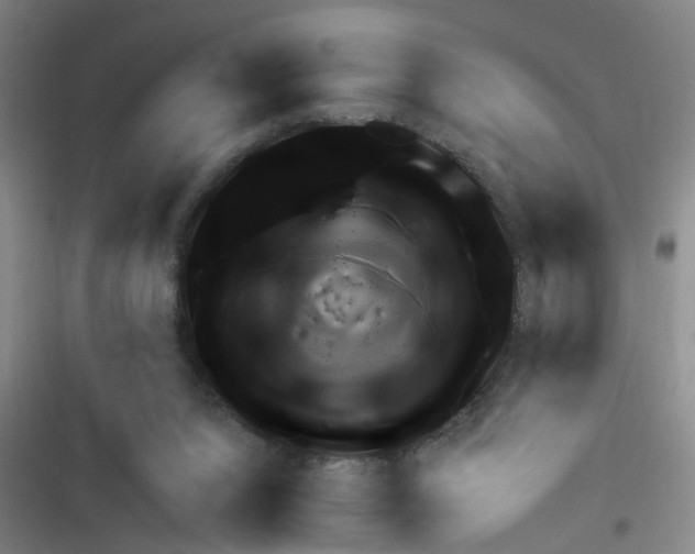 X0000116350064201001131115