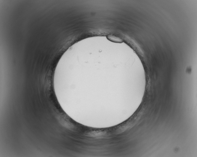 X0000116350065201001131115