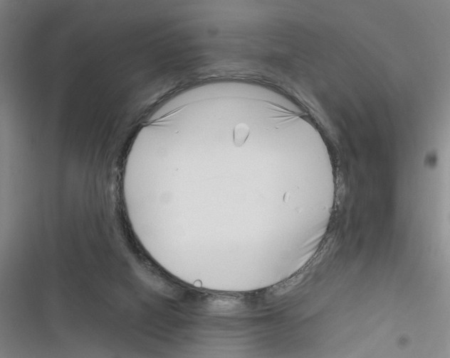 X0000116350066201001131115