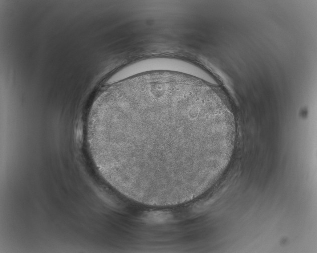 X0000116350067201001131115