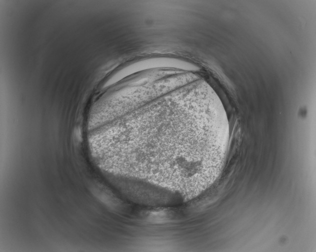 X0000116350068201001131115