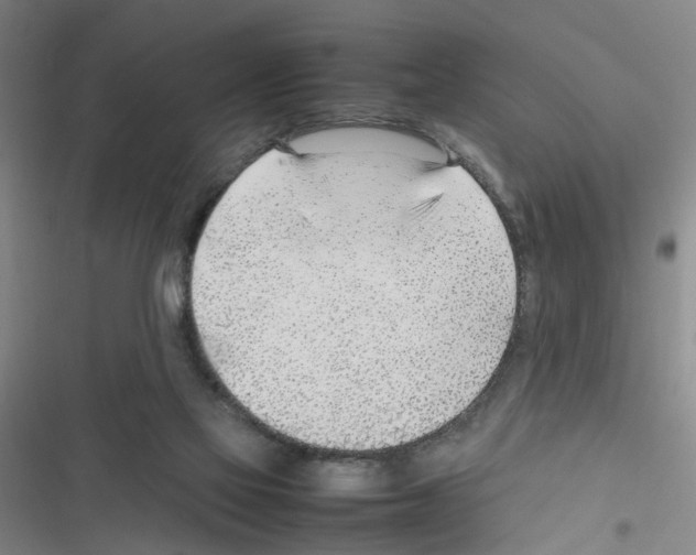 X0000116350069201001131115