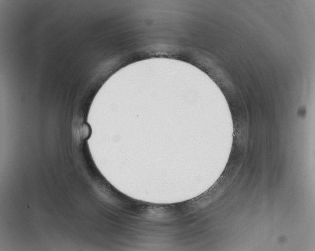 X0000116350070201001131115