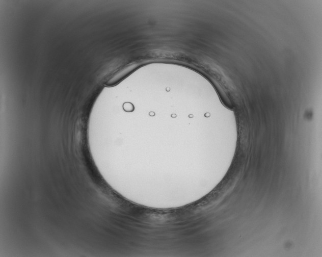 X0000116350071201001131115