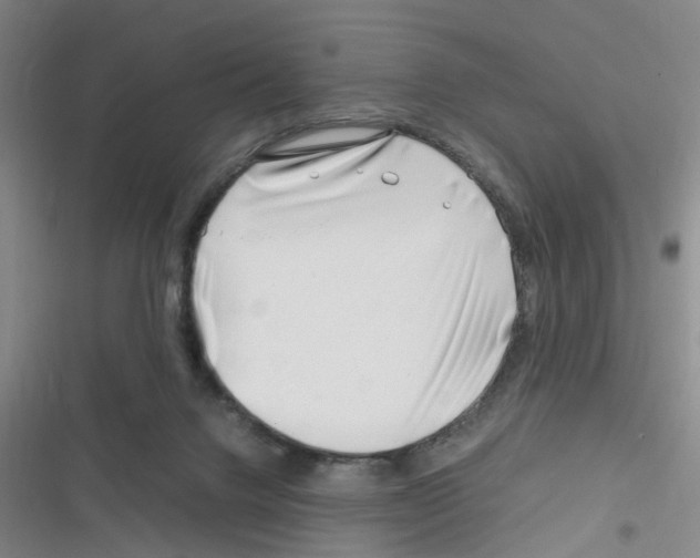 X0000116350072201001131115