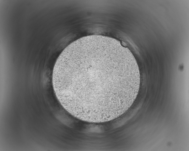 X0000116350073201001131115