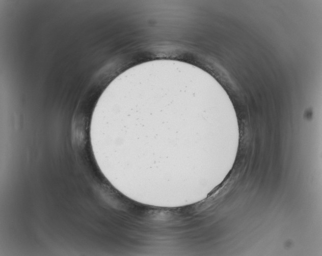 X0000116350074201001131115